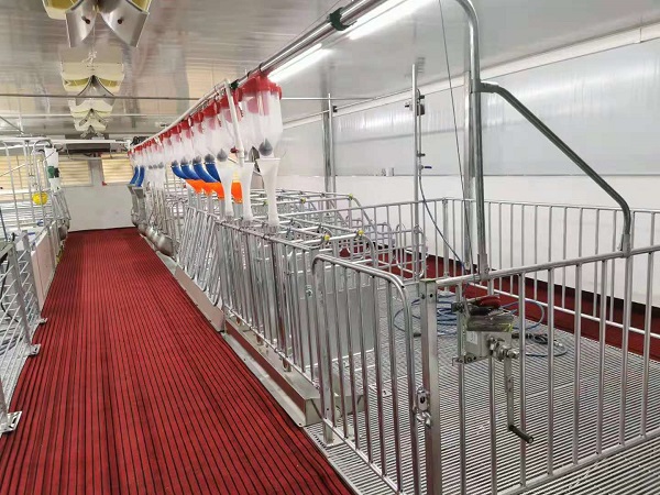 不銹鋼管工程案例：養(yǎng)殖場(chǎng)飼料輸送管道